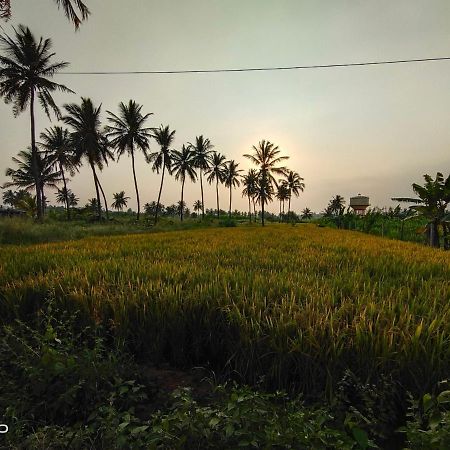 Srinivasa Homestay Хампи Экстерьер фото