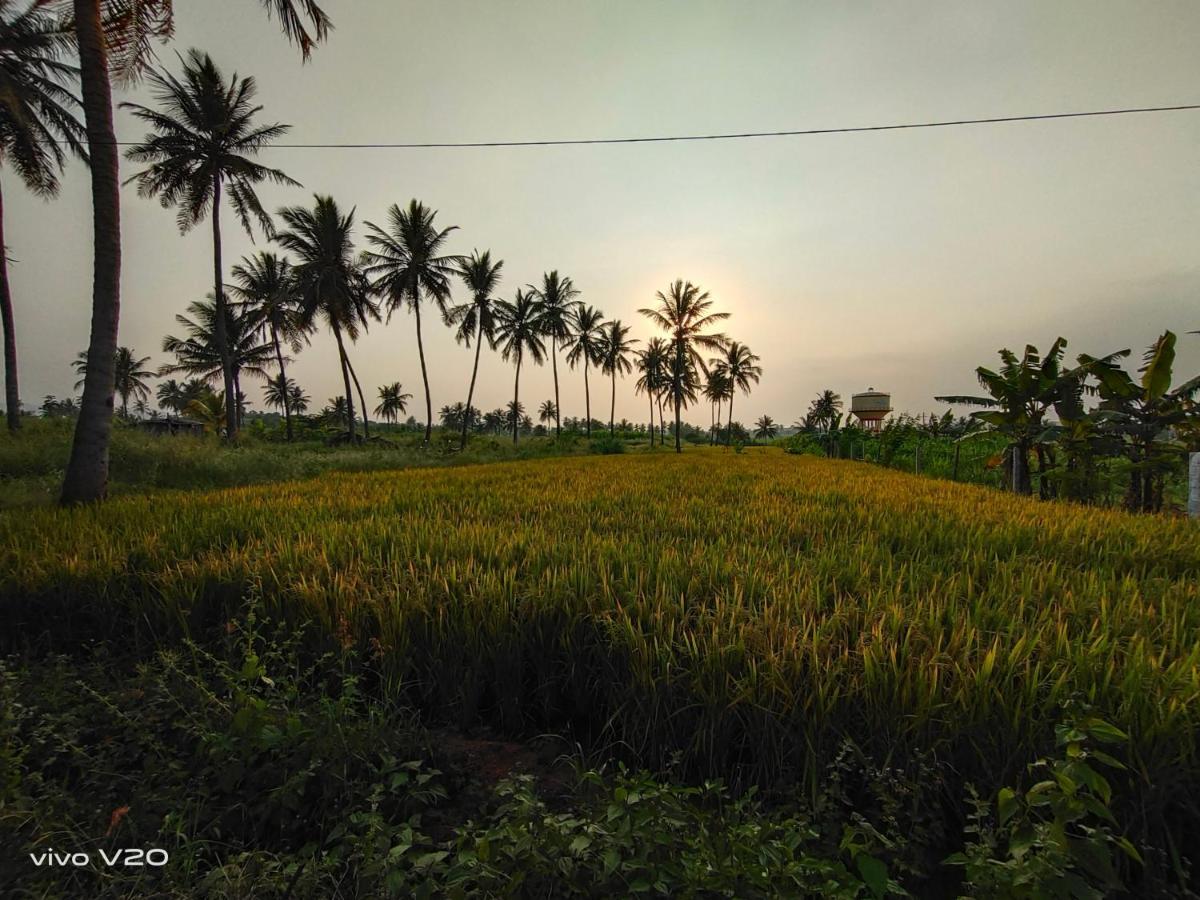 Srinivasa Homestay Хампи Экстерьер фото